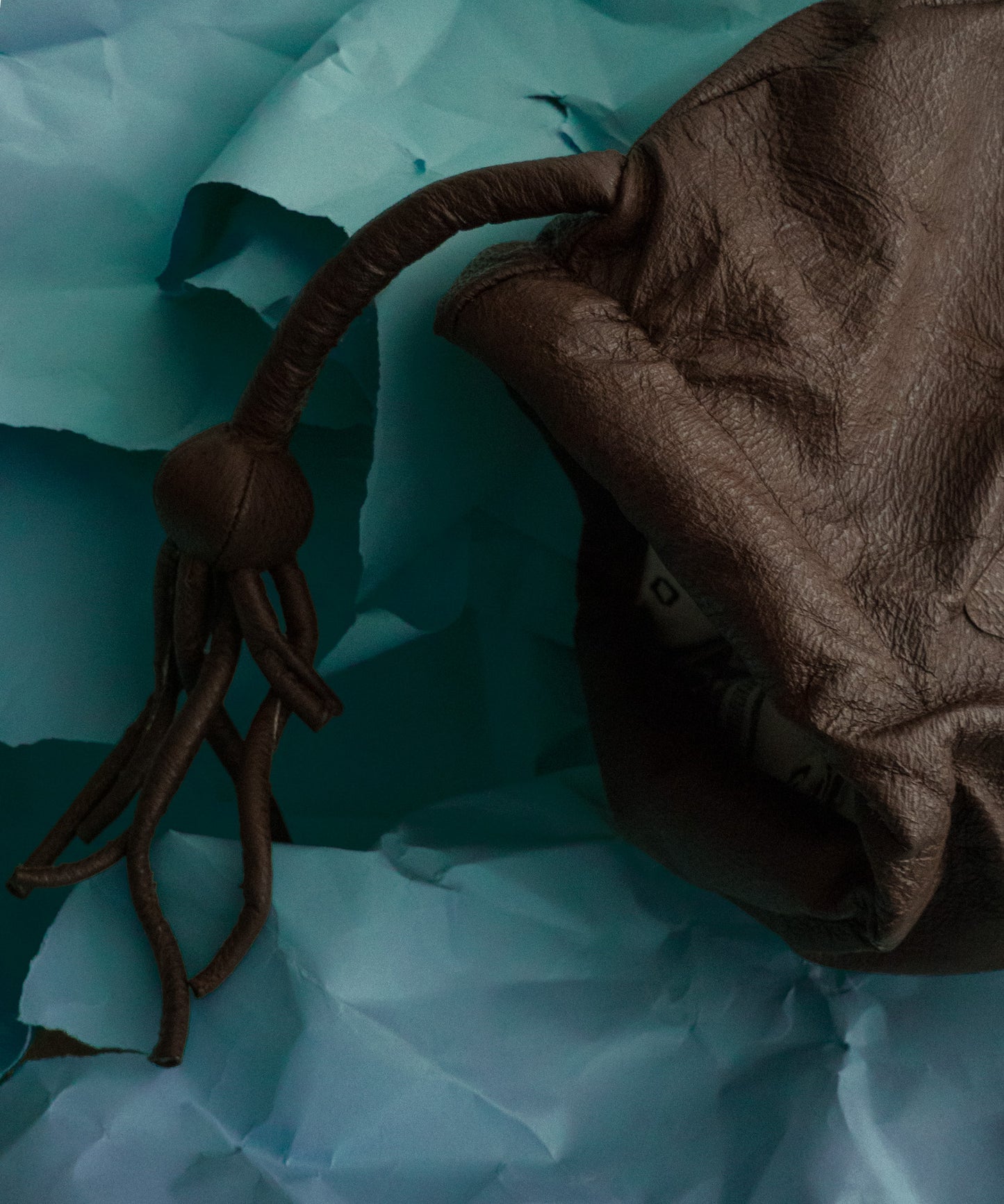 Anglefish Bag